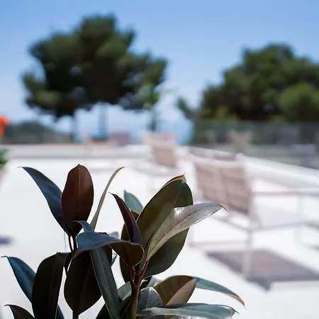 Aura Διαμέρισμα Mattinata